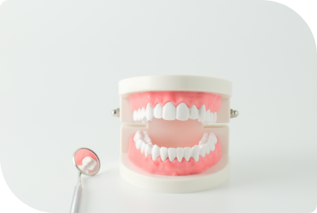 Full Mouth Rehabilitation
